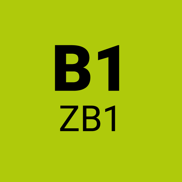 ÖSD Zertifikat B1 (ZB1)